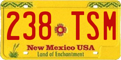 NM license plate 238TSM