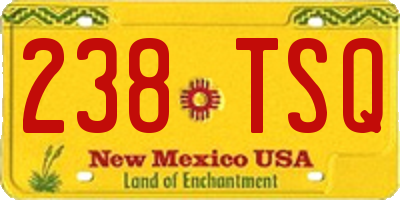 NM license plate 238TSQ