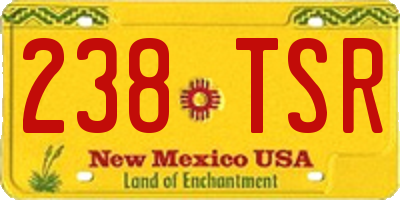 NM license plate 238TSR