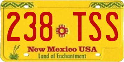 NM license plate 238TSS
