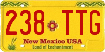 NM license plate 238TTG