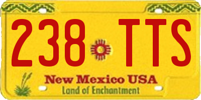 NM license plate 238TTS