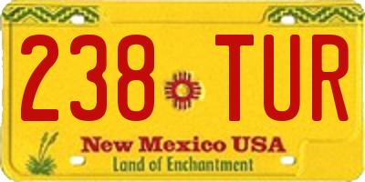 NM license plate 238TUR