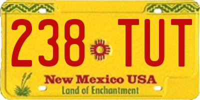 NM license plate 238TUT