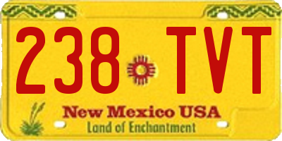 NM license plate 238TVT