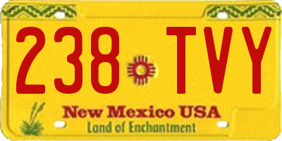 NM license plate 238TVY