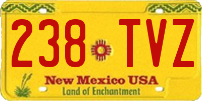 NM license plate 238TVZ