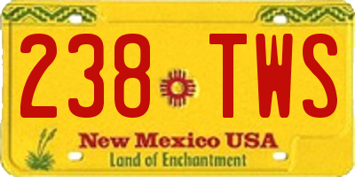NM license plate 238TWS
