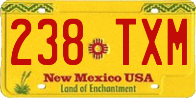 NM license plate 238TXM