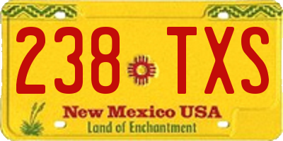 NM license plate 238TXS