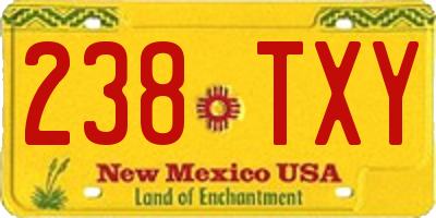 NM license plate 238TXY
