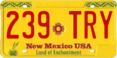 NM license plate 239TRY