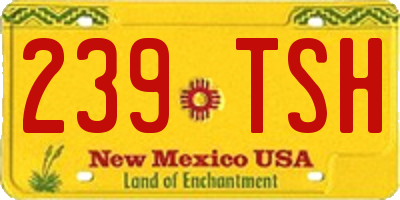 NM license plate 239TSH