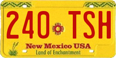 NM license plate 240TSH