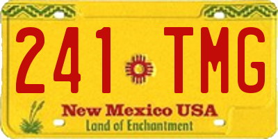 NM license plate 241TMG