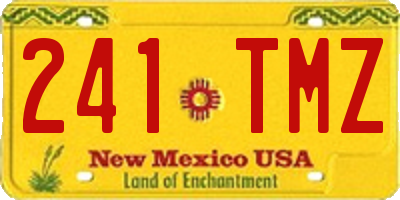 NM license plate 241TMZ