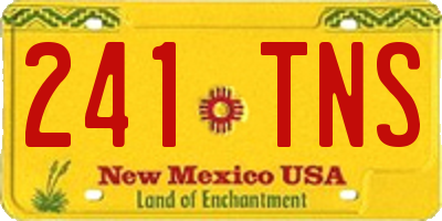 NM license plate 241TNS