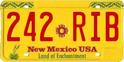 NM license plate 242RIB