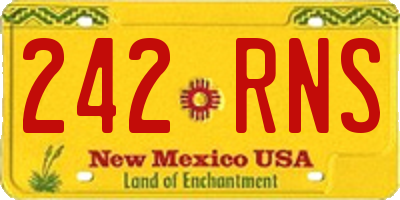NM license plate 242RNS