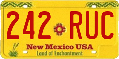 NM license plate 242RUC
