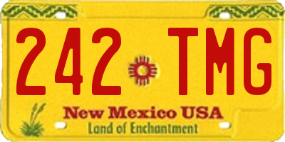 NM license plate 242TMG