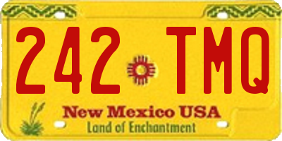 NM license plate 242TMQ