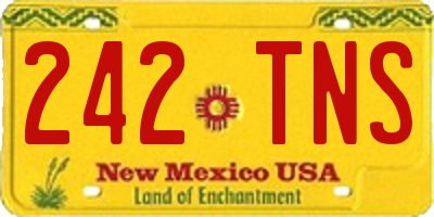 NM license plate 242TNS