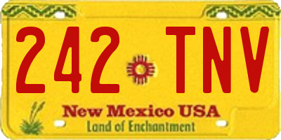 NM license plate 242TNV