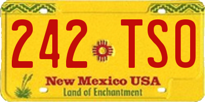 NM license plate 242TSO