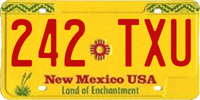 NM license plate 242TXU