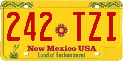 NM license plate 242TZI