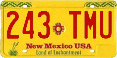 NM license plate 243TMU