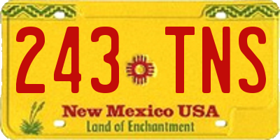 NM license plate 243TNS