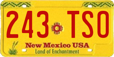 NM license plate 243TSO