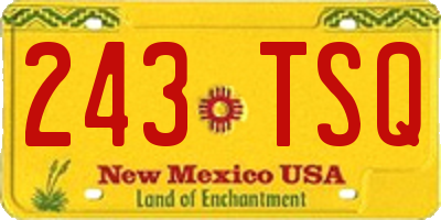 NM license plate 243TSQ