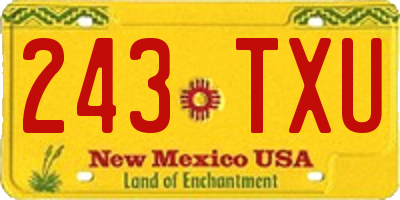 NM license plate 243TXU