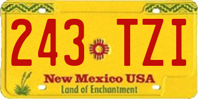 NM license plate 243TZI