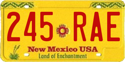 NM license plate 245RAE