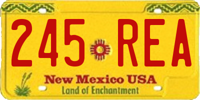 NM license plate 245REA