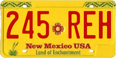 NM license plate 245REH
