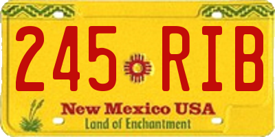 NM license plate 245RIB
