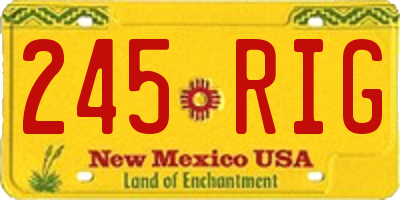 NM license plate 245RIG