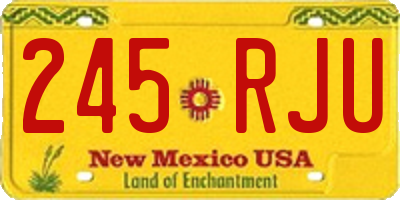 NM license plate 245RJU