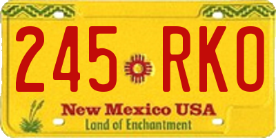 NM license plate 245RKO