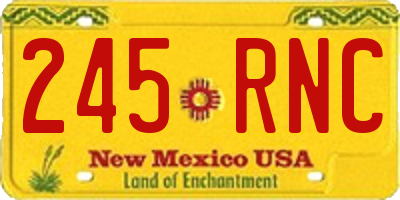 NM license plate 245RNC
