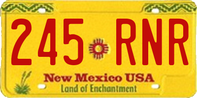 NM license plate 245RNR