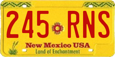 NM license plate 245RNS
