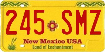 NM license plate 245SMZ