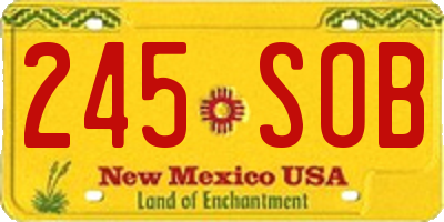 NM license plate 245SOB