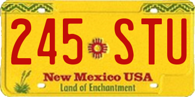 NM license plate 245STU